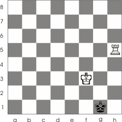  After White makes the waiting move Rh5-h8 Black is forced to enter the opposition where it will be checkmated